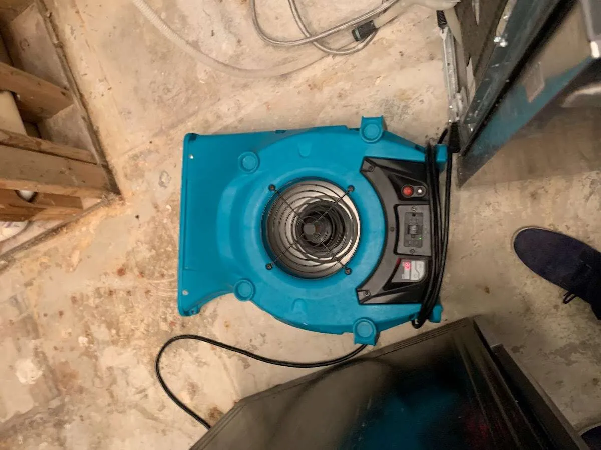 Air mover drying equipment for Mold Remediation & Removal in Howell